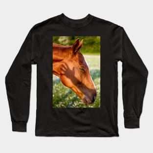 Chestnut horse with Daisies Long Sleeve T-Shirt